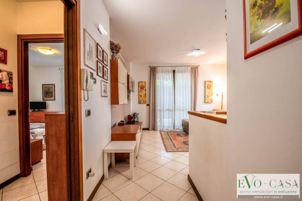 immagine annuncio 1 di 15