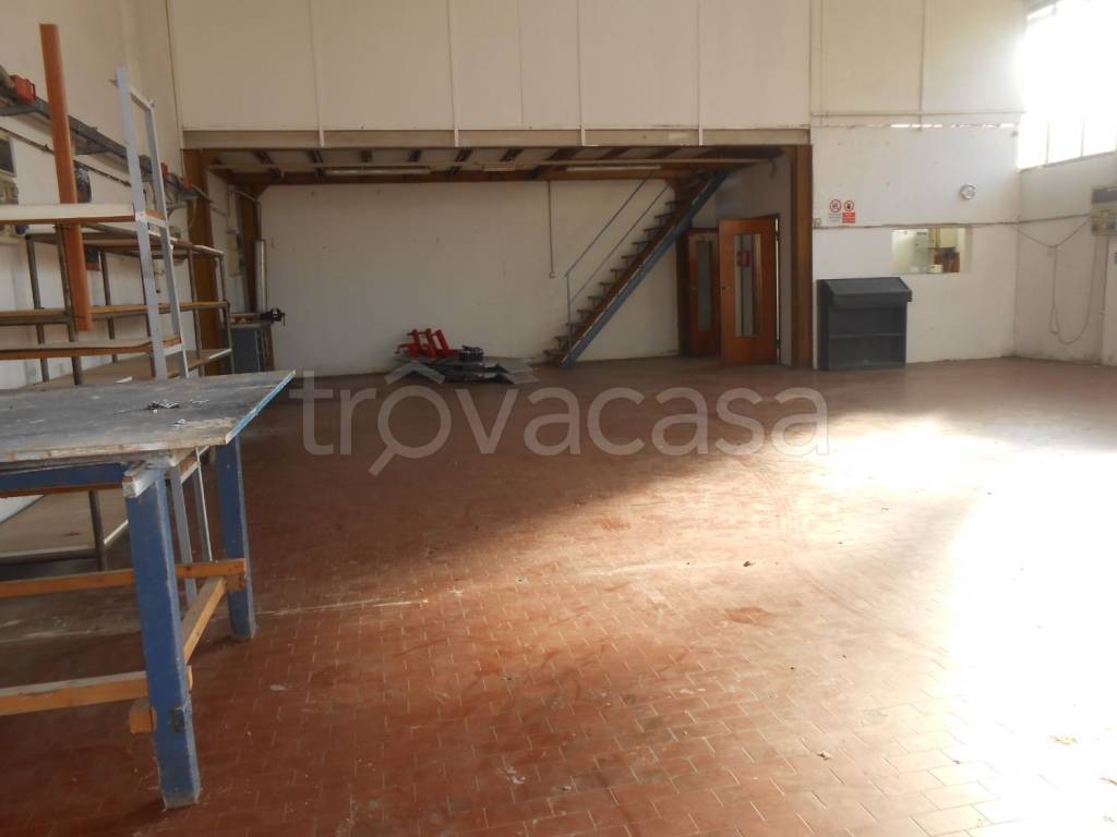 immagine annuncio 5 di 13