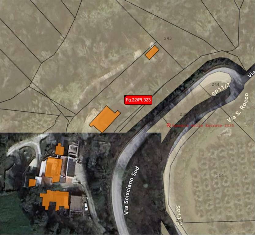 immagine annuncio 9 di 11