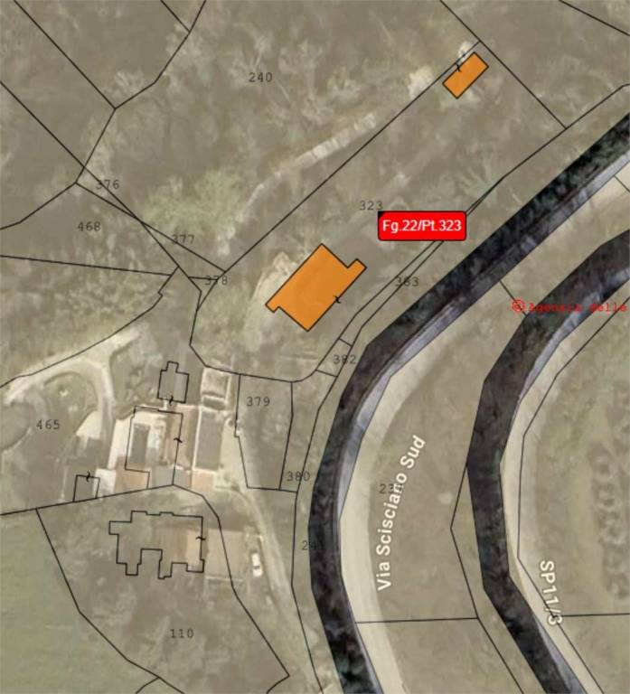 immagine annuncio 10 di 11