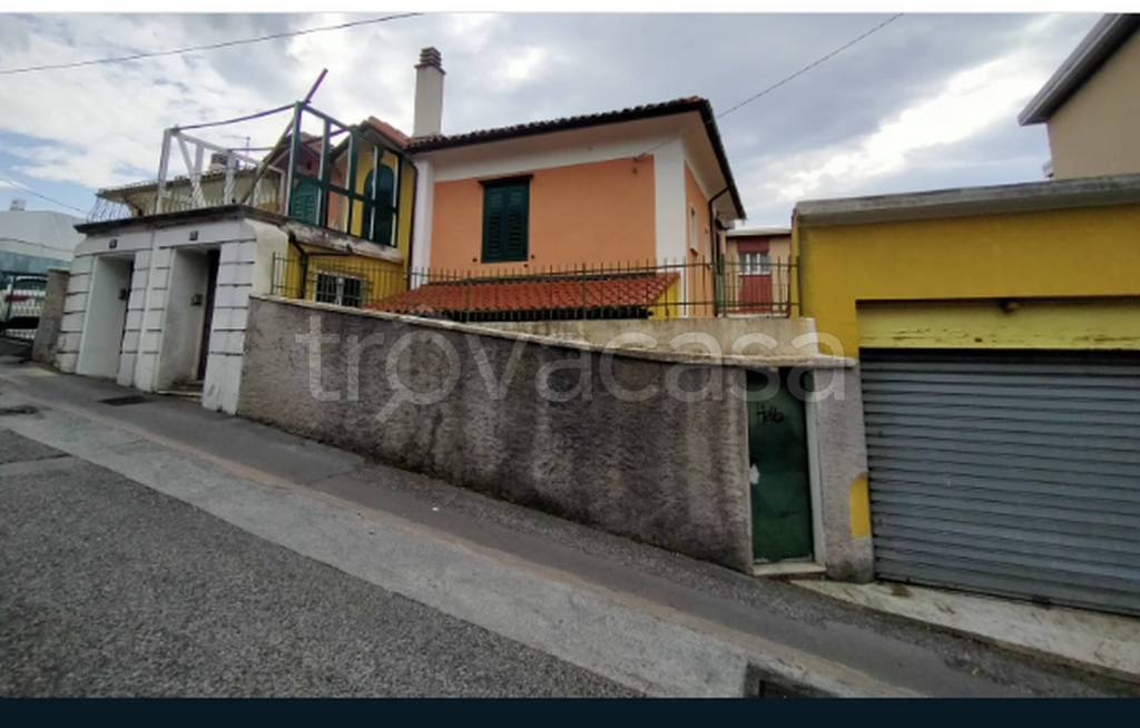 immagine annuncio 7 di 13