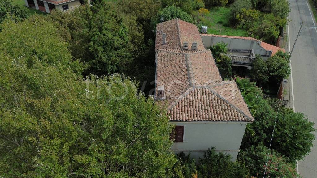 immagine annuncio 10 di 11