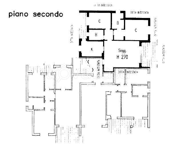 immagine annuncio 13 di 15