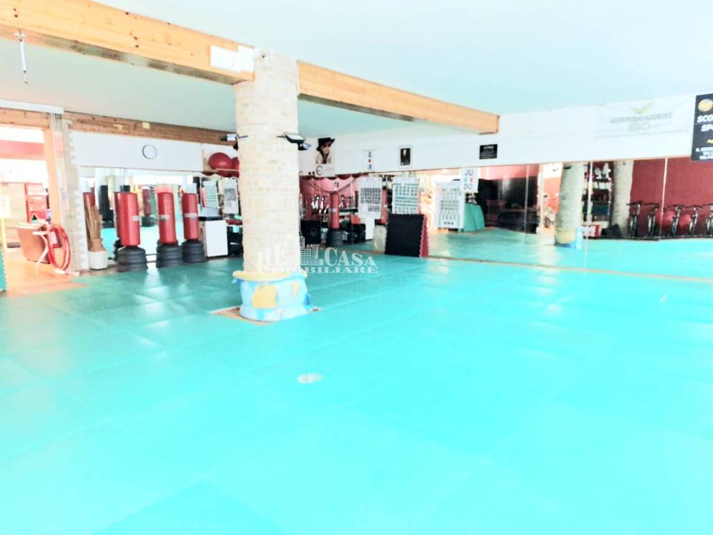 immagine annuncio 4 di 15