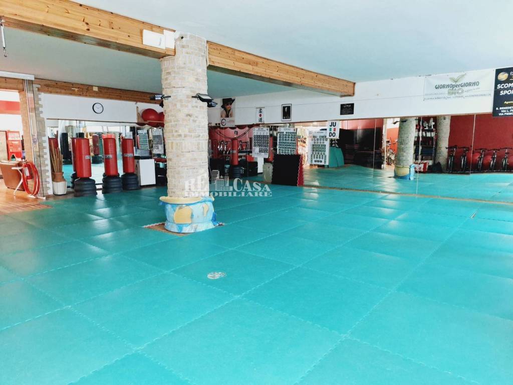 immagine annuncio 5 di 15