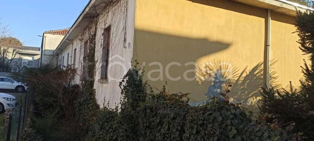 immagine annuncio 1 di 14