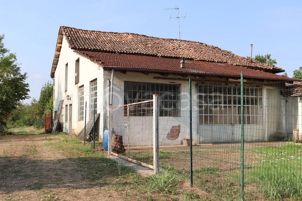 immagine annuncio 1 di 15