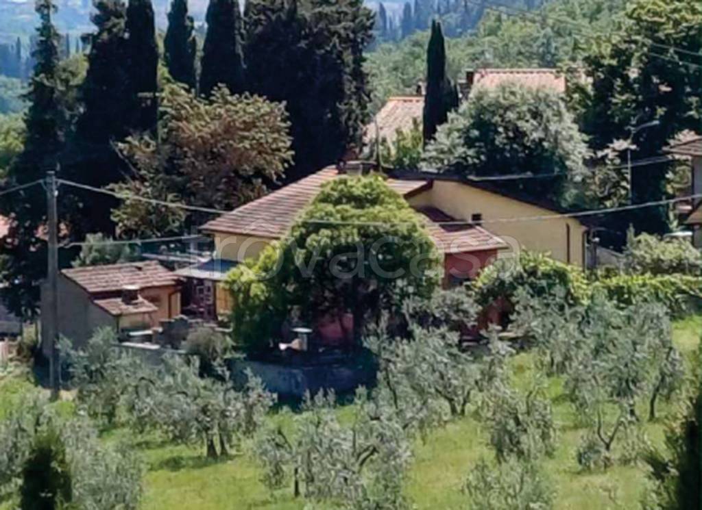 immagine annuncio 5 di 12