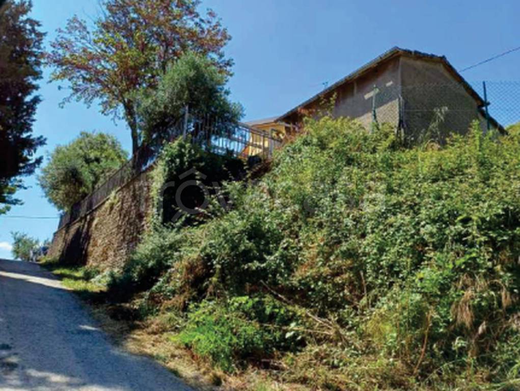 immagine annuncio 6 di 12