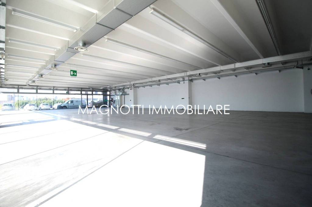 immagine annuncio 1 di 6