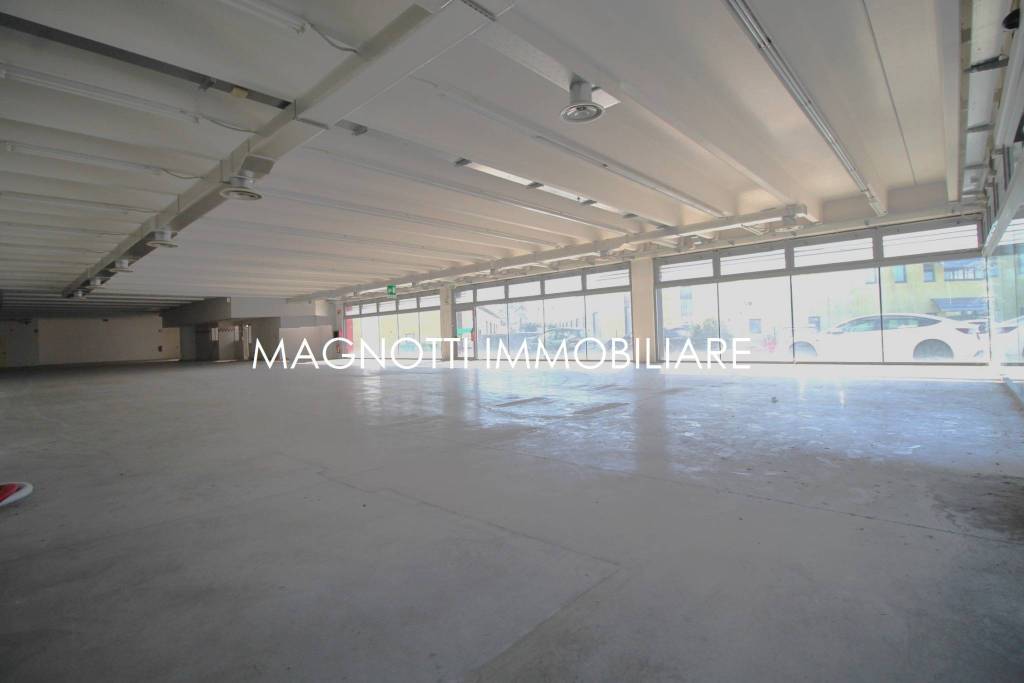 immagine annuncio 2 di 6