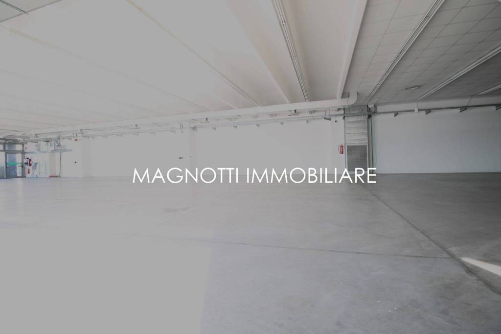 immagine annuncio 3 di 6