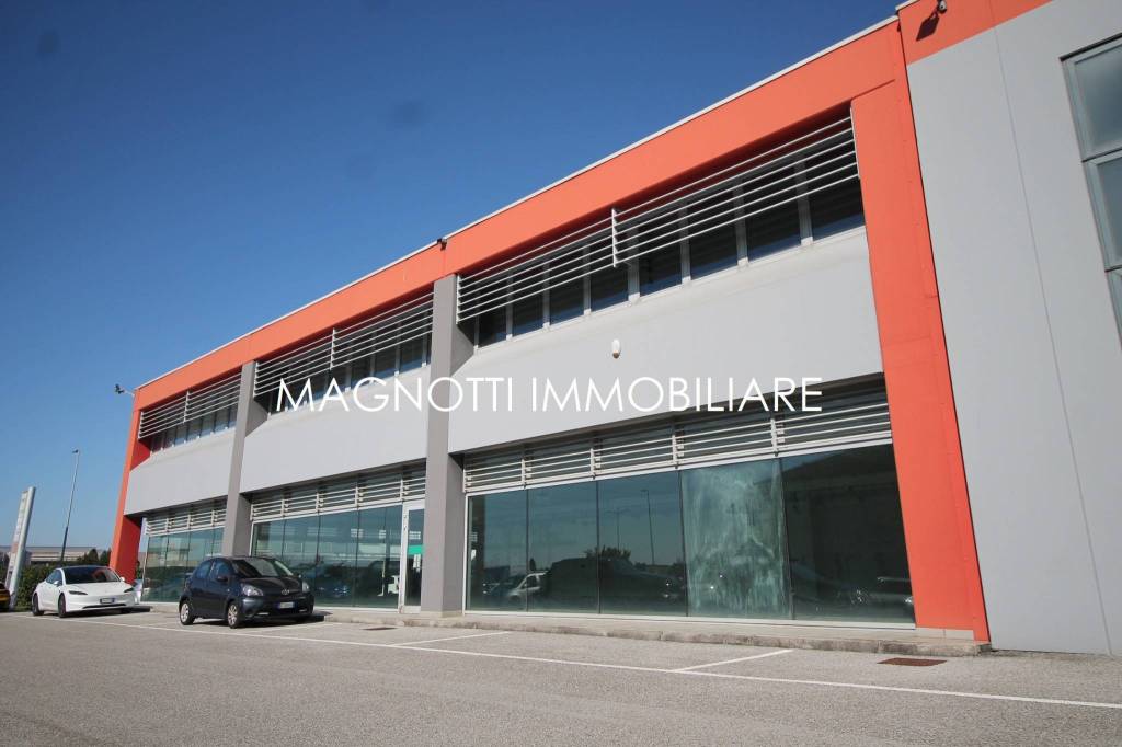 immagine annuncio 4 di 6