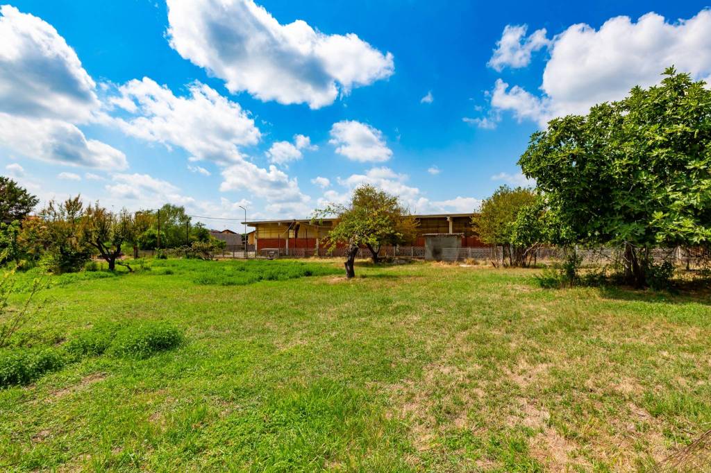 immagine annuncio 3 di 11