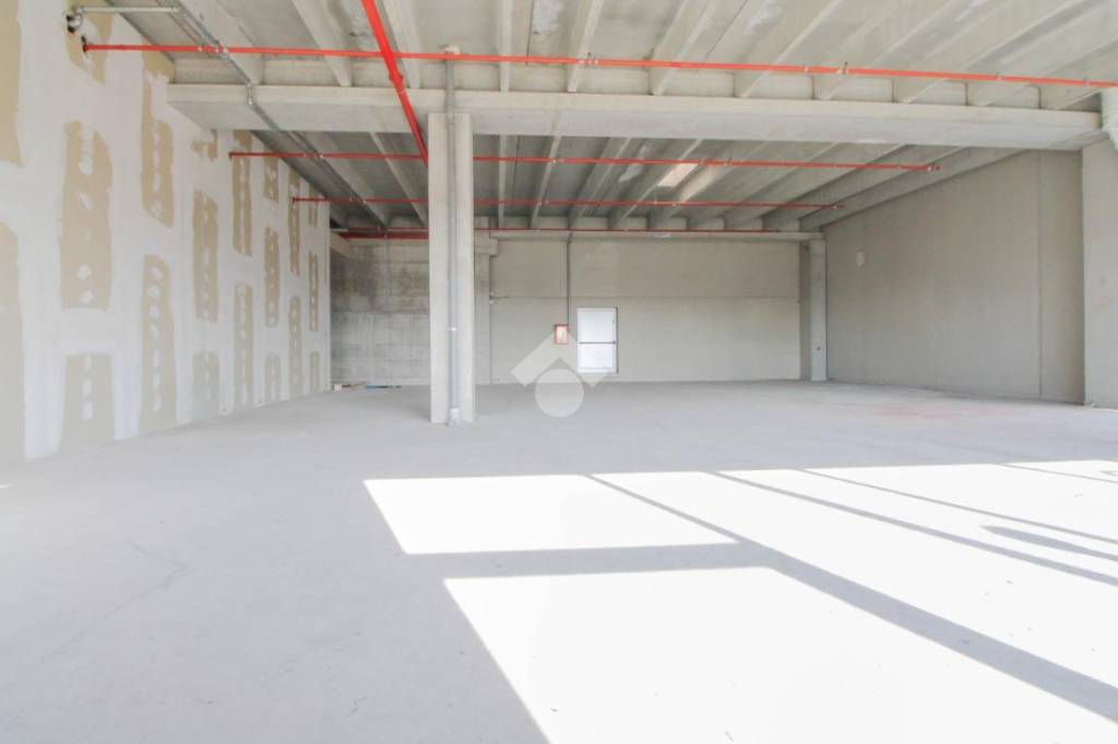 immagine annuncio 9 di 13