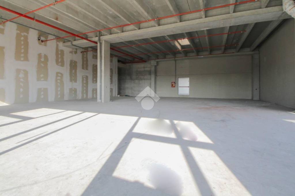 immagine annuncio 12 di 13