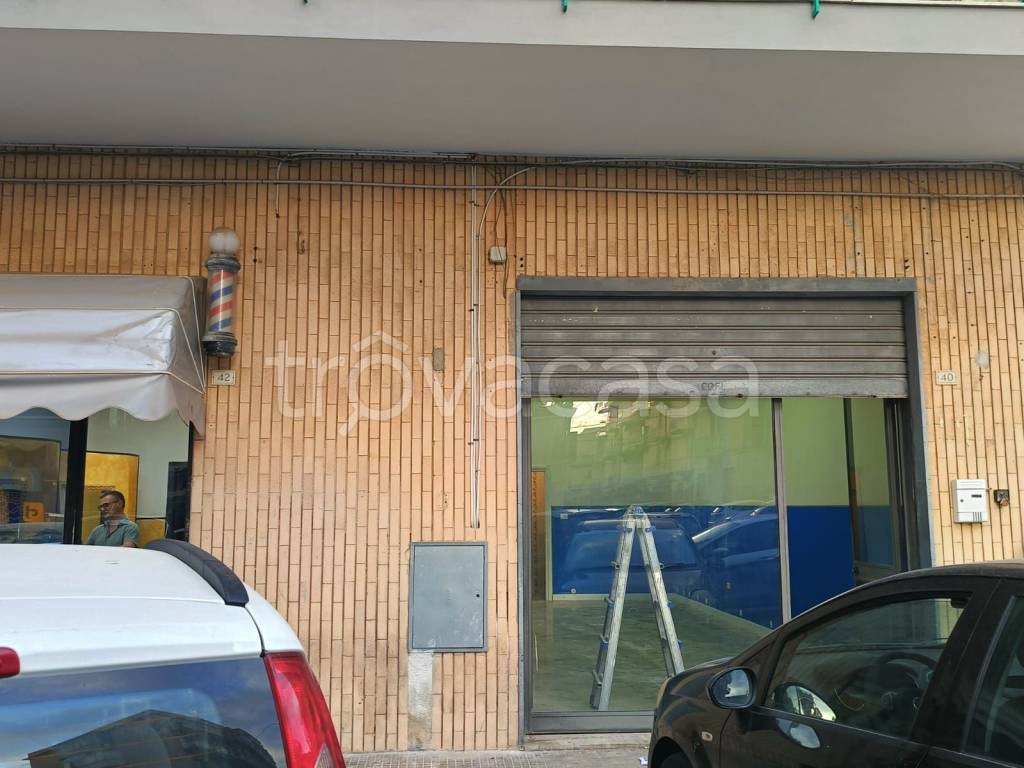 immagine annuncio 2 di 12