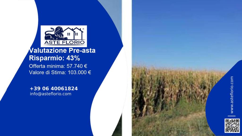 immagine annuncio 1 di 13