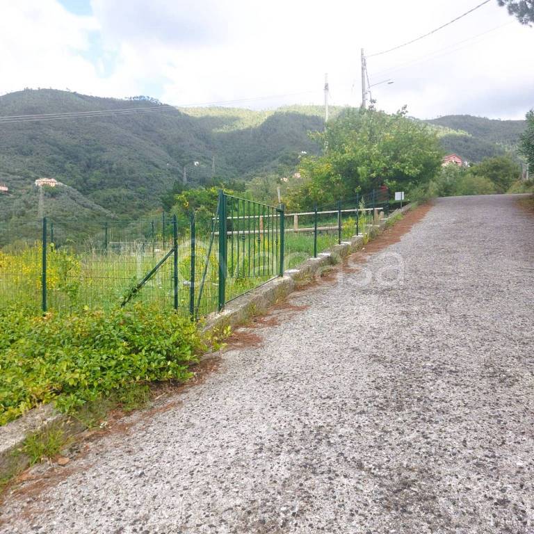 immagine annuncio 7 di 8