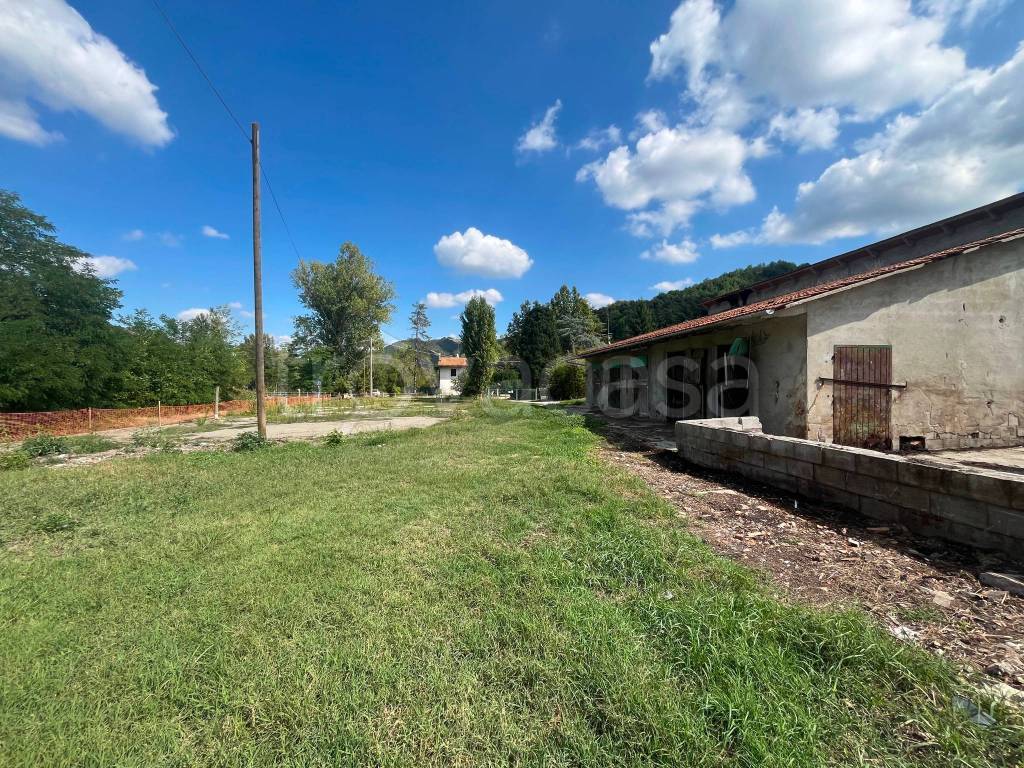 immagine annuncio 4 di 14