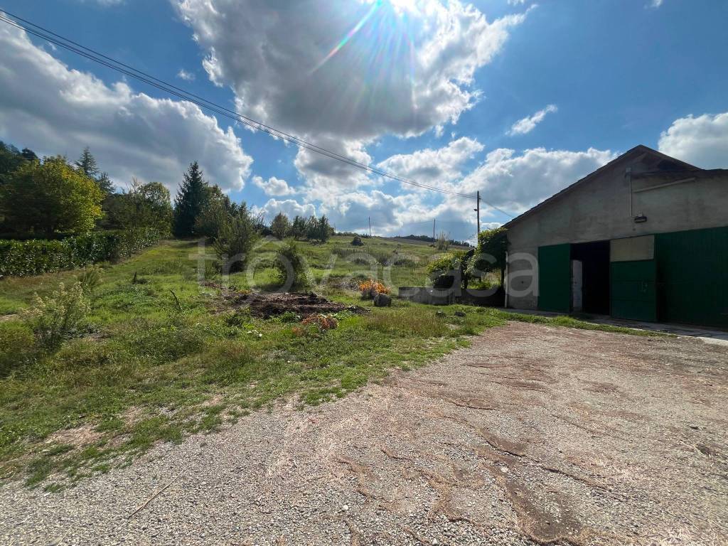 immagine annuncio 5 di 14