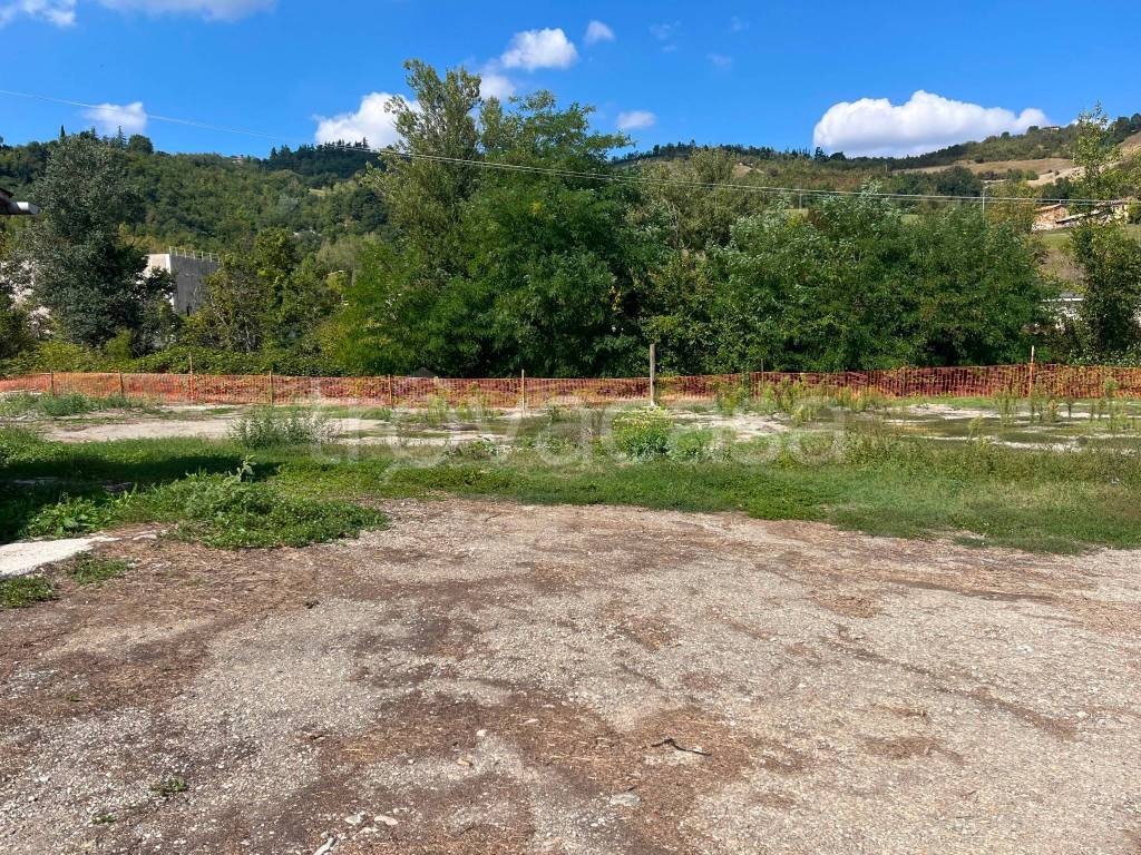 immagine annuncio 8 di 14