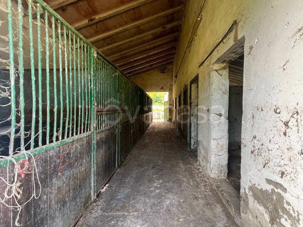 immagine annuncio 9 di 14