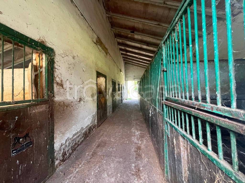 immagine annuncio 10 di 14