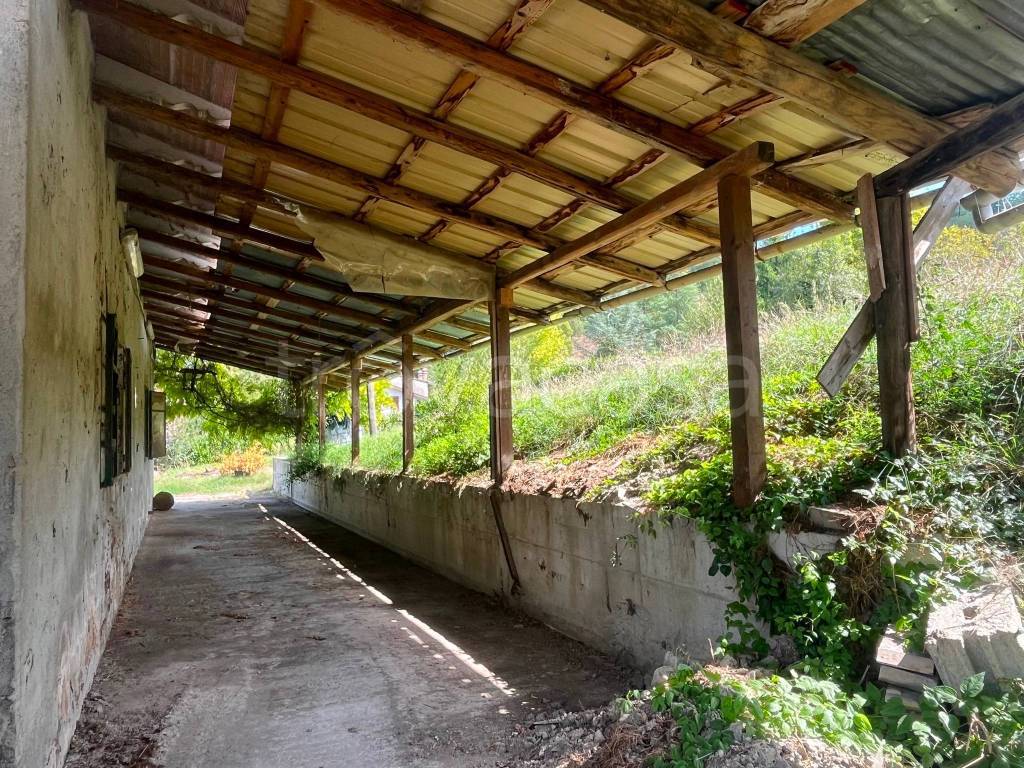 immagine annuncio 11 di 14