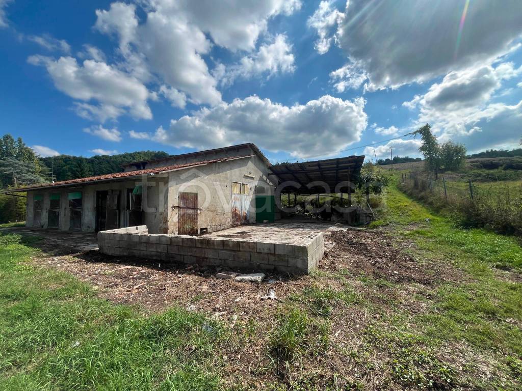 immagine annuncio 12 di 14