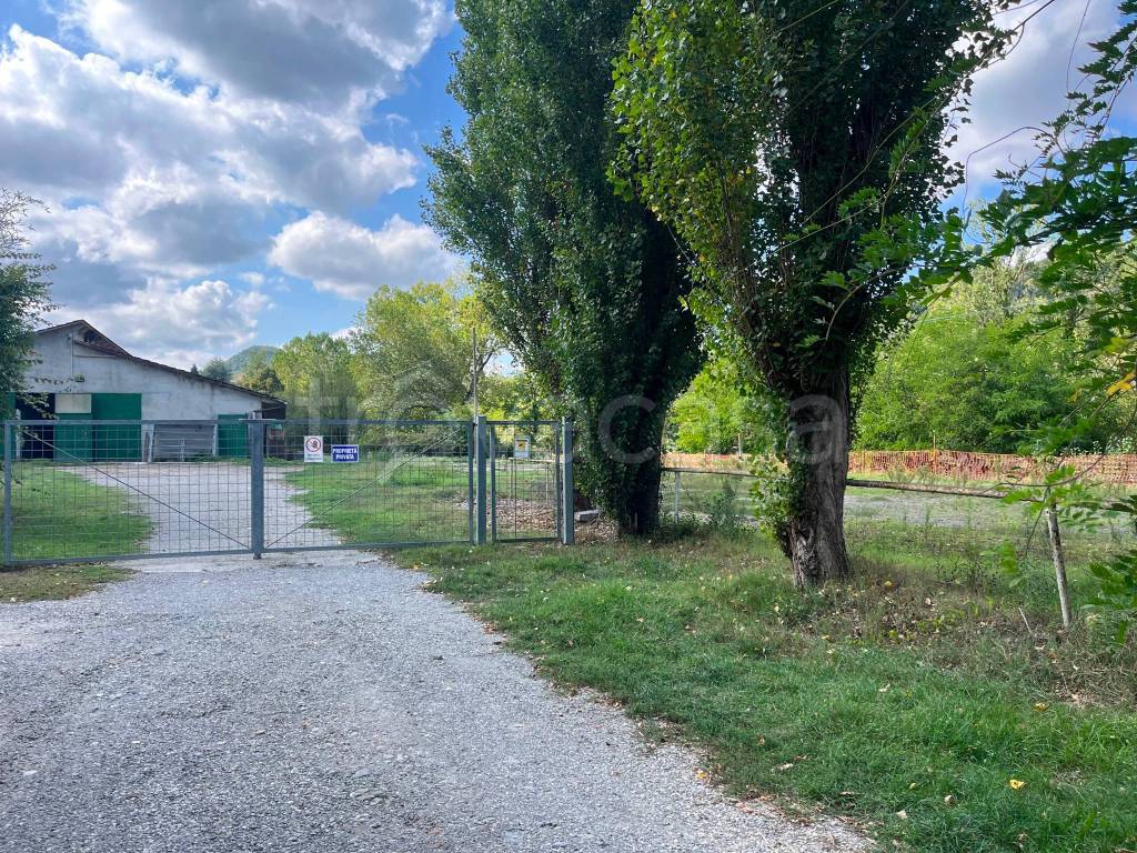 immagine annuncio 13 di 14