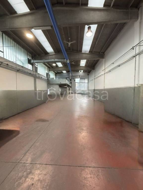 immagine annuncio 8 di 14