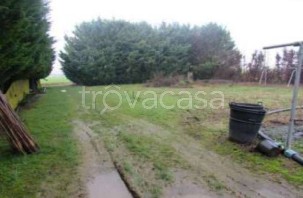 immagine annuncio 2 di 11