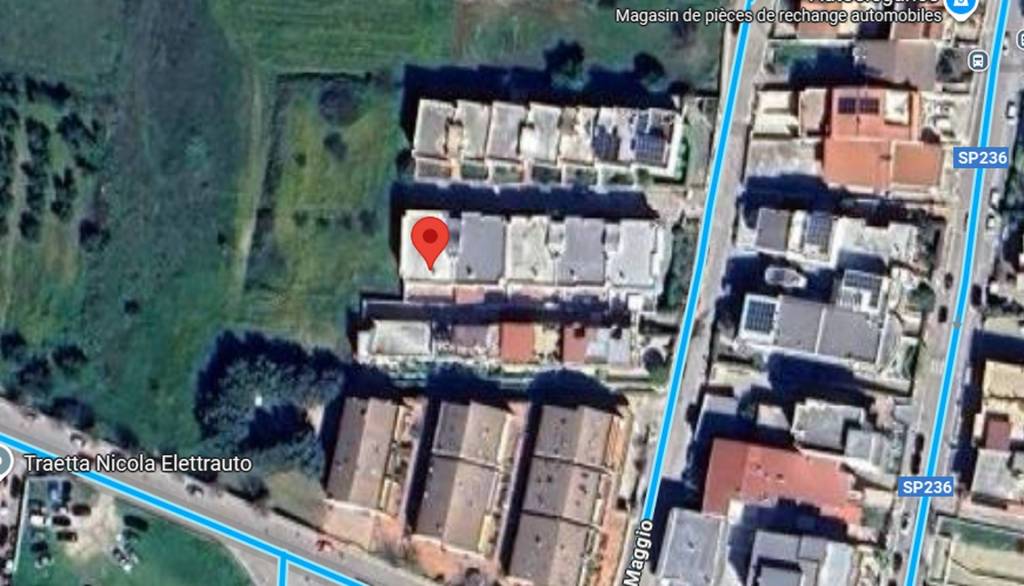 immagine annuncio 3 di 11