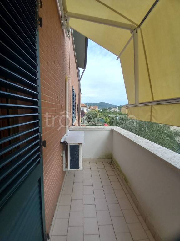 immagine annuncio 4 di 6