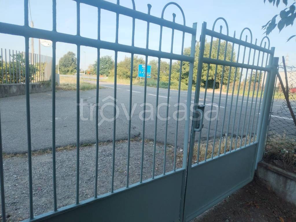 immagine annuncio 5 di 14