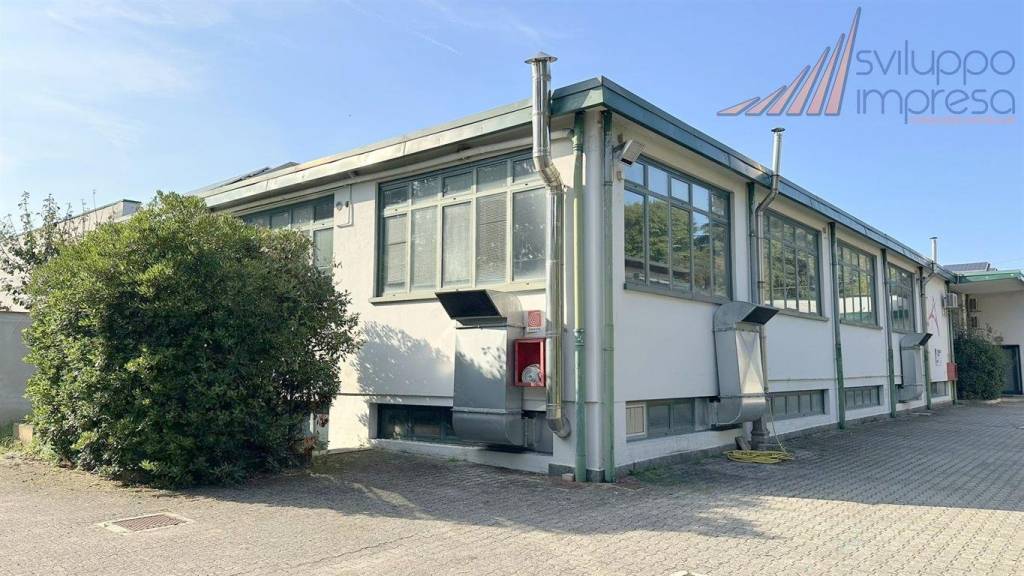 immagine annuncio 5 di 15