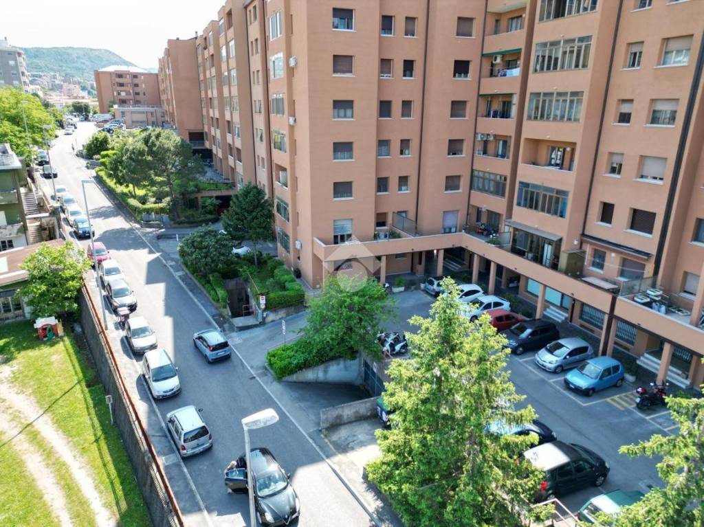 immagine annuncio 9 di 14