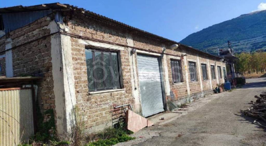 immagine annuncio 3 di 11