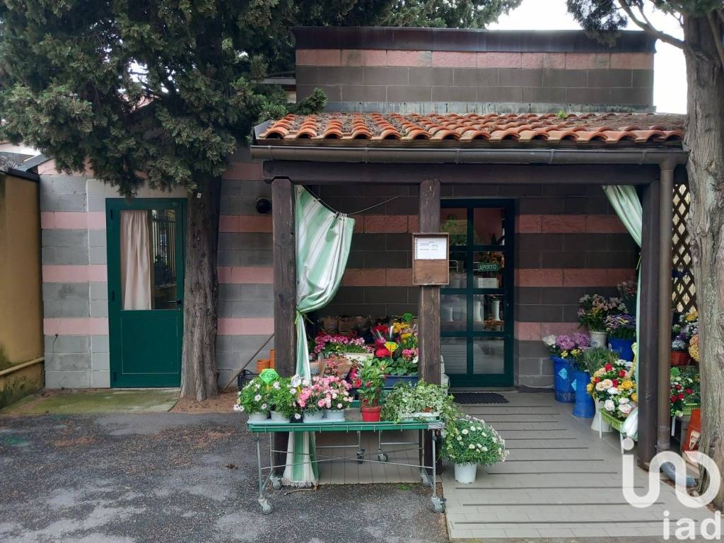 immagine annuncio 9 di 10