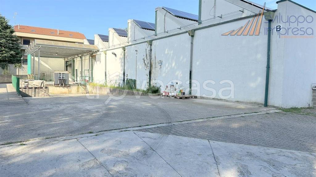 immagine annuncio 6 di 15