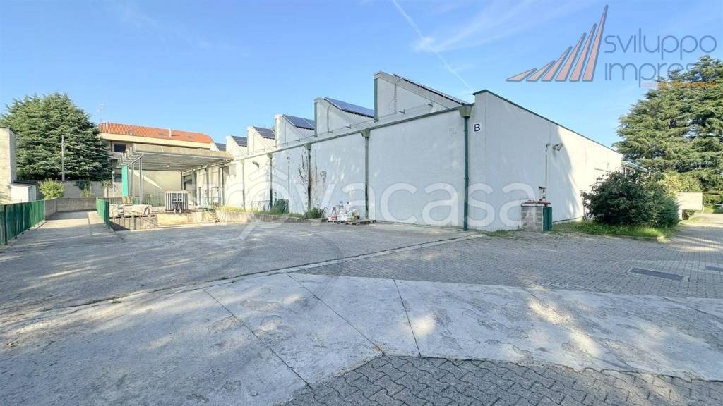 immagine annuncio 7 di 15