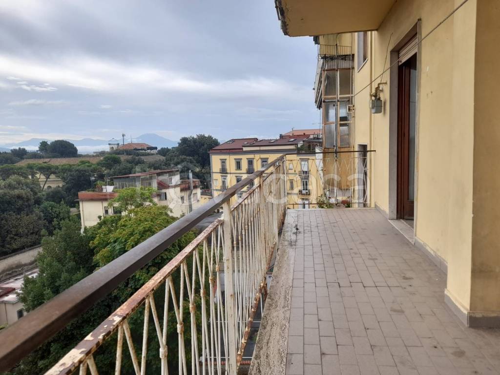 immagine annuncio 9 di 14