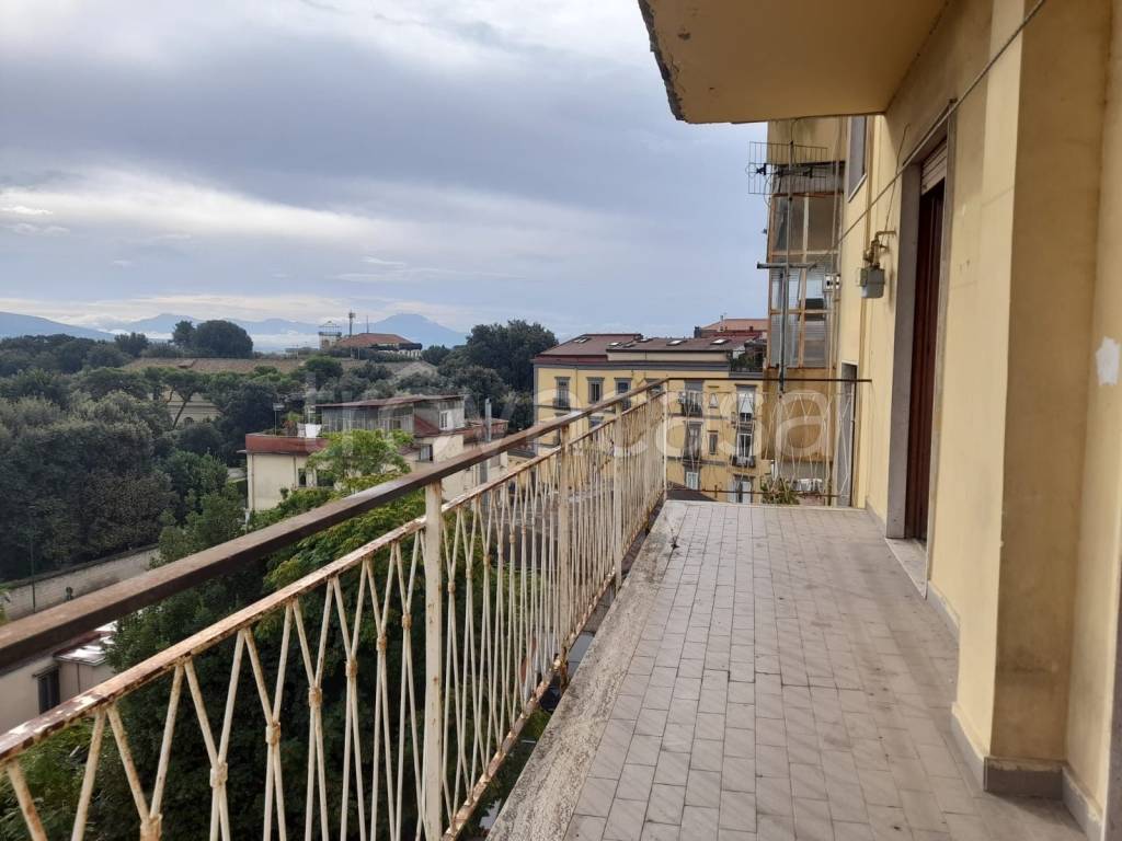 immagine annuncio 10 di 14