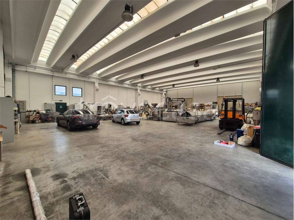 immagine annuncio 6 di 13