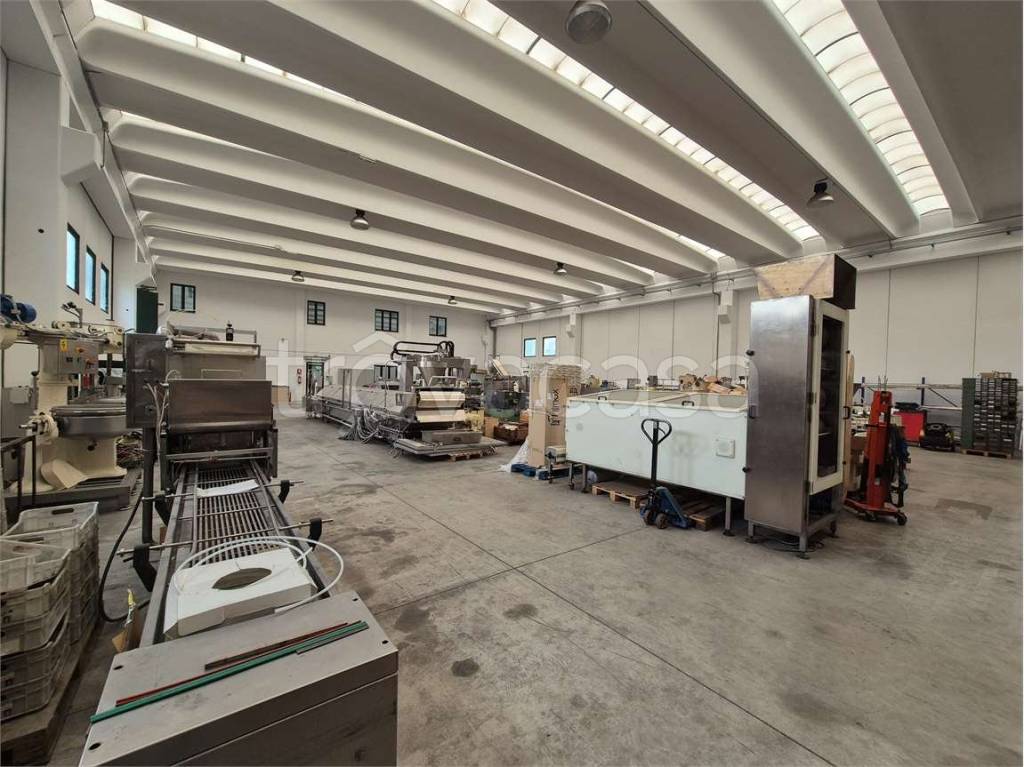 immagine annuncio 8 di 13