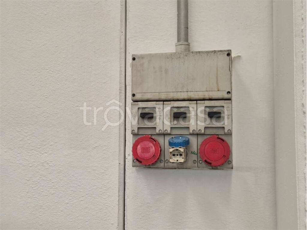 immagine annuncio 11 di 13