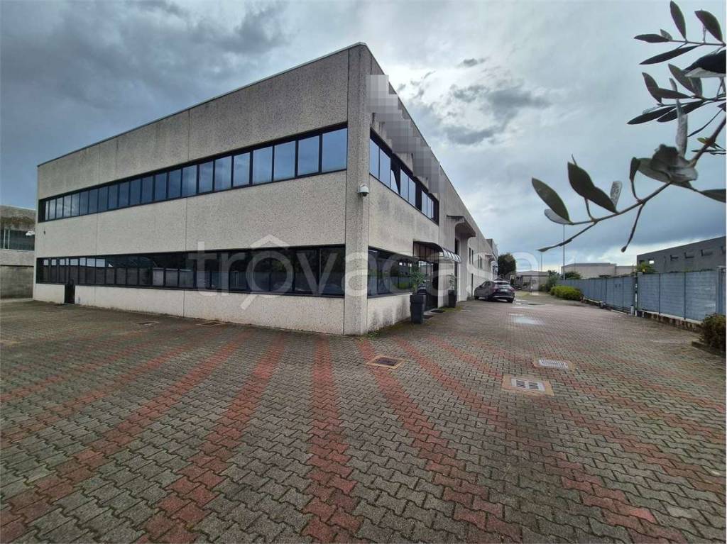 immagine annuncio 12 di 13