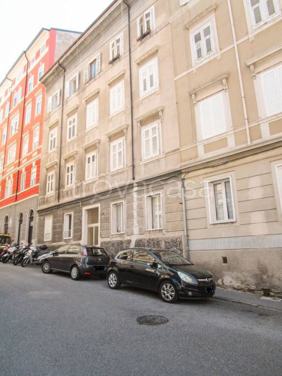 immagine annuncio 11 di 14