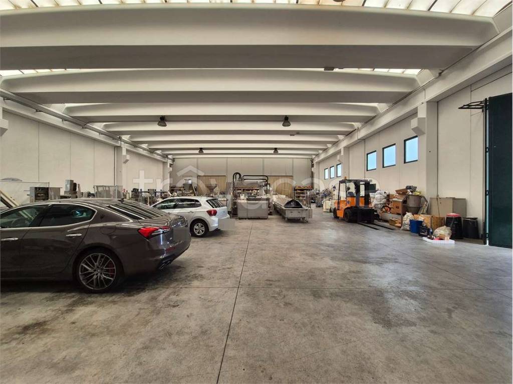 immagine annuncio 6 di 13